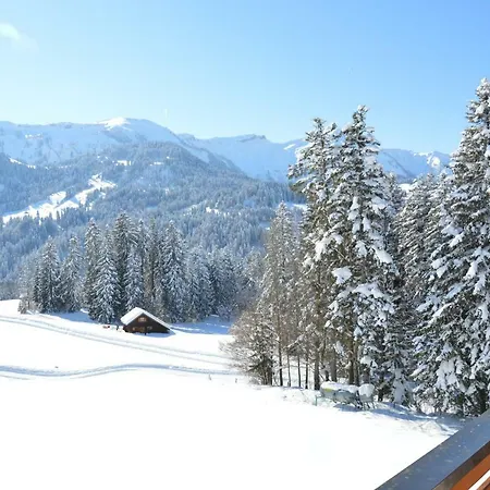 Haus Kipfen * Sibratsgfäll